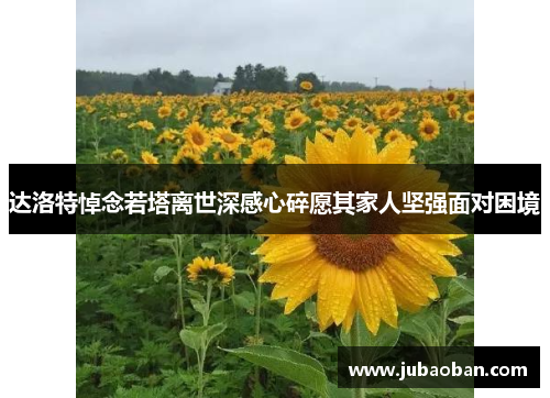 达洛特悼念若塔离世深感心碎愿其家人坚强面对困境