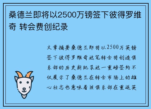 桑德兰即将以2500万镑签下彼得罗维奇 转会费创纪录
