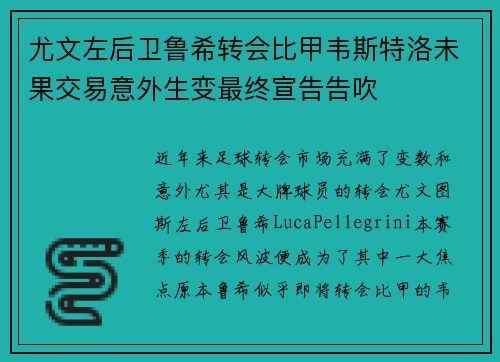 尤文左后卫鲁希转会比甲韦斯特洛未果交易意外生变最终宣告告吹